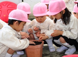 BL-20150421-01 (7).jpg